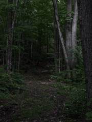 Image 9