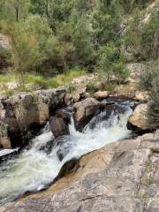 Image 6