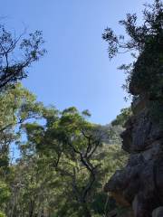 Image 8