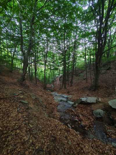 Image 9