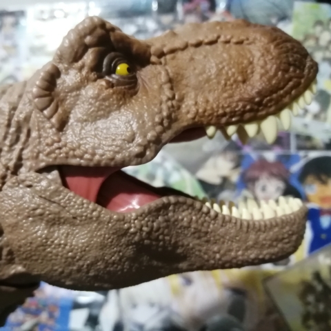 作者名称
