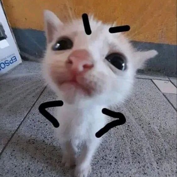 作者名称