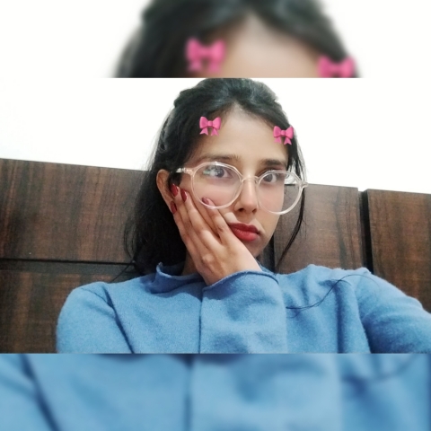 作者名称