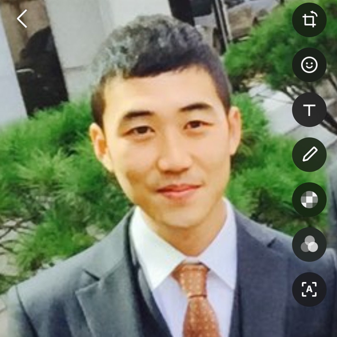 지노