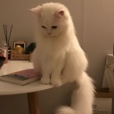 作者名称