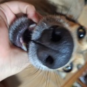 作者名称