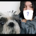 作者名称