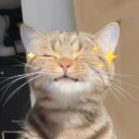 作者名称