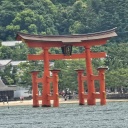 作者名称