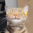 作者名称