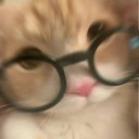 作者名称